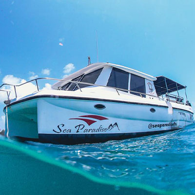 Sea Paradise