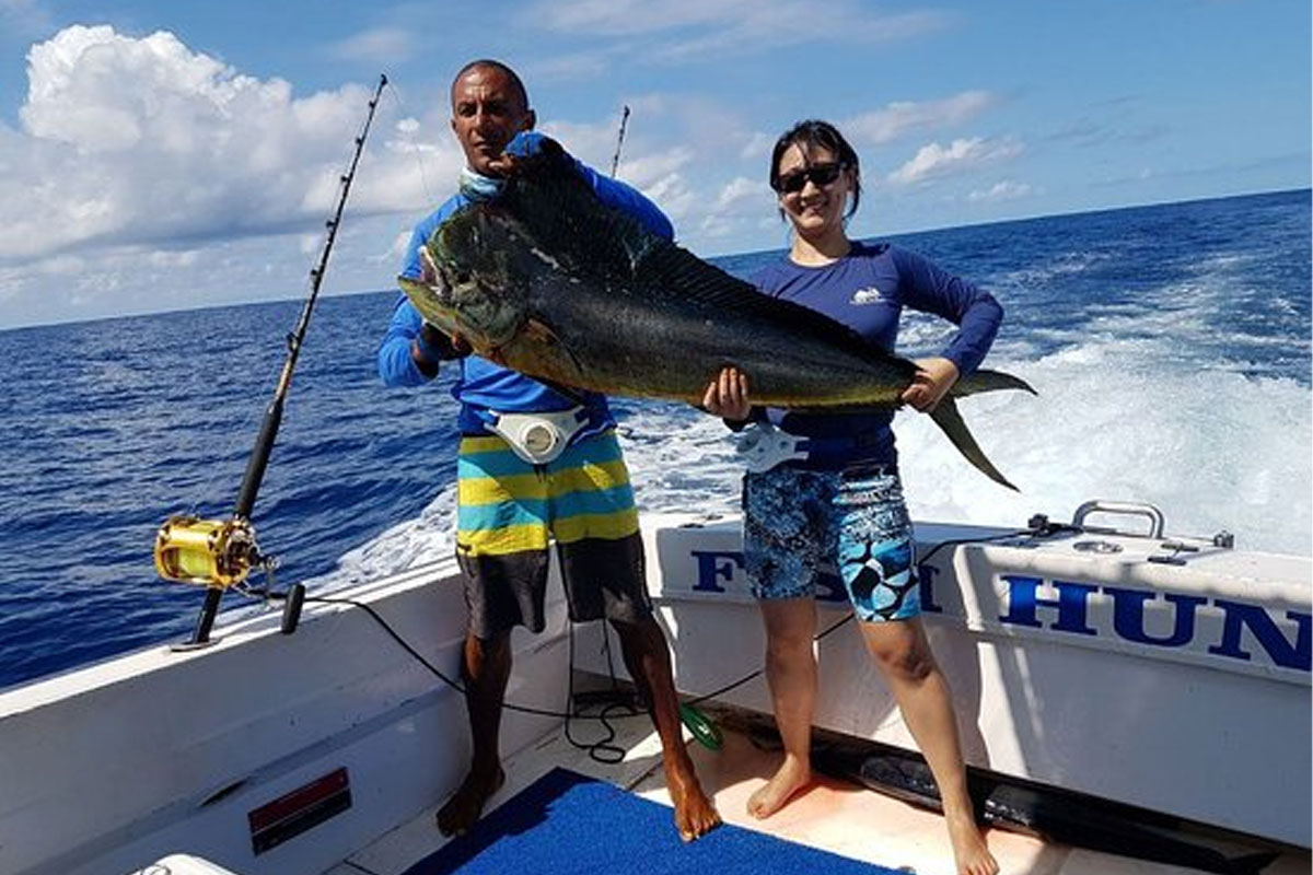 Equipamentos Profissionais