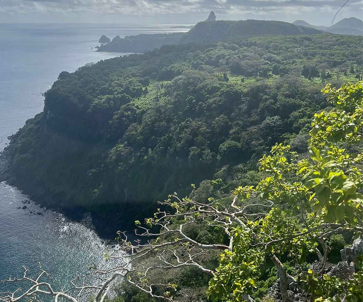 Trilha Capim-Açu Noronha